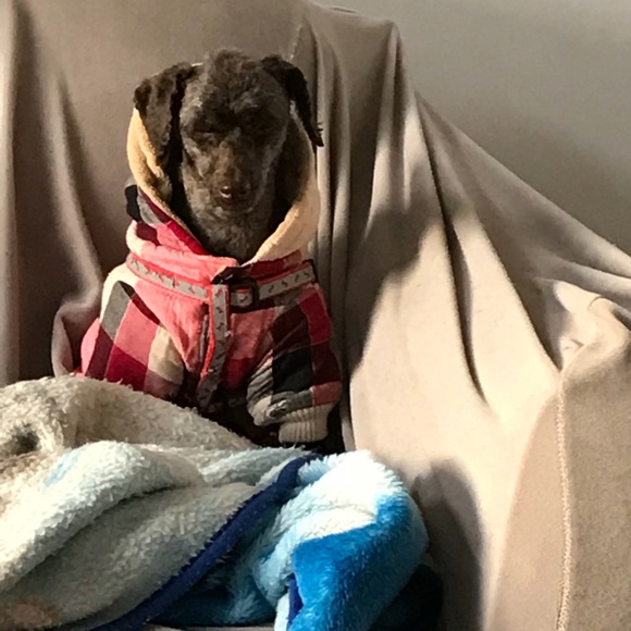 Meet your Posher, Estelle - Picture 4 of 13